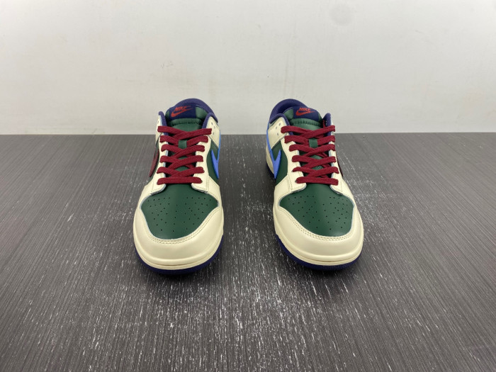 Nike Dunk Low FV8106-361