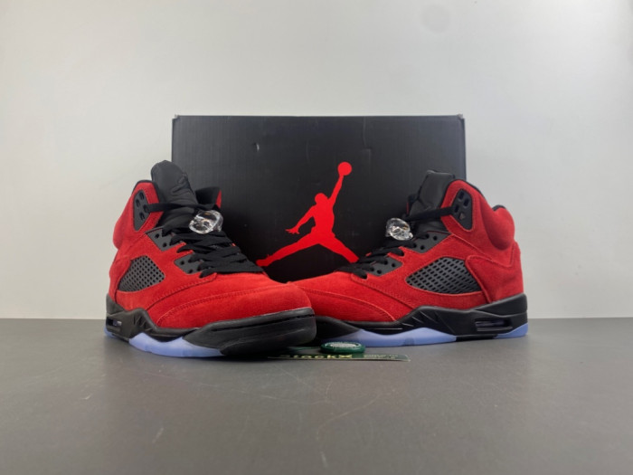 Air Jordan 5 Retro DD0587-600
