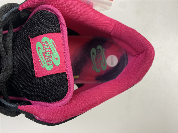 nike dunk sb low premier "N0*Hern lights" 724183-063