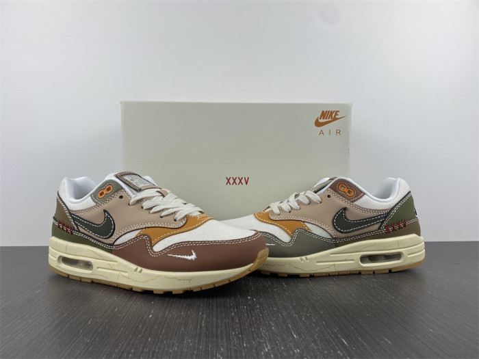 Nike Air Max 1 Premium Wabi-Sabi DQ8656-133