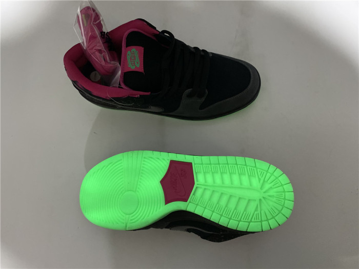 nike dunk sb low premier "N0*Hern lights" 724183-063