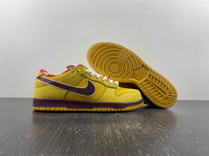 NIKE Dunk Low Premium SB 