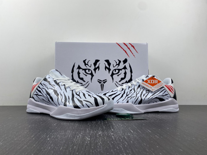 NIKE KOBE v 5  protro DB4796-004