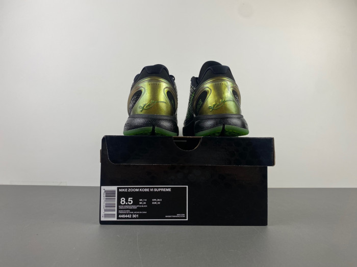 zoom kobe 6 S*p*e 