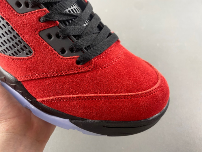 Air Jordan 5 Retro DD0587-600