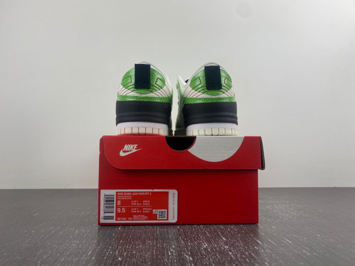 Nike Dunk Low  Disrupt 2 DV1491-101