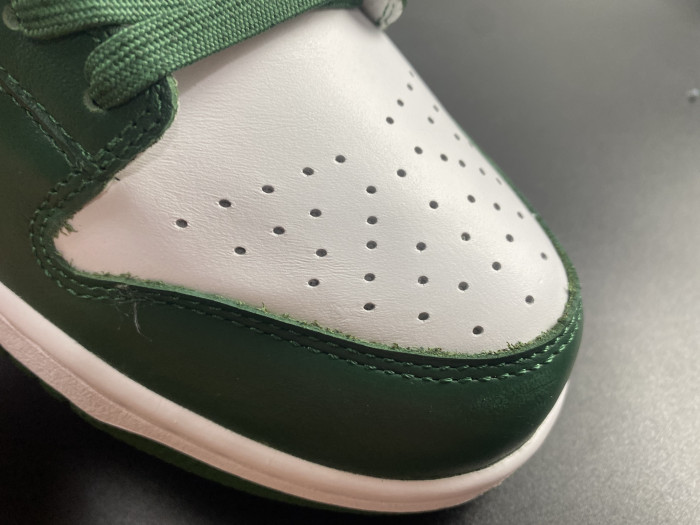 Nike Dunk Low Michigan State DD1391-101