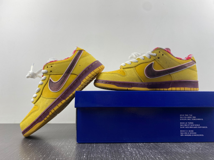 NIKE Dunk Low Premium SB 