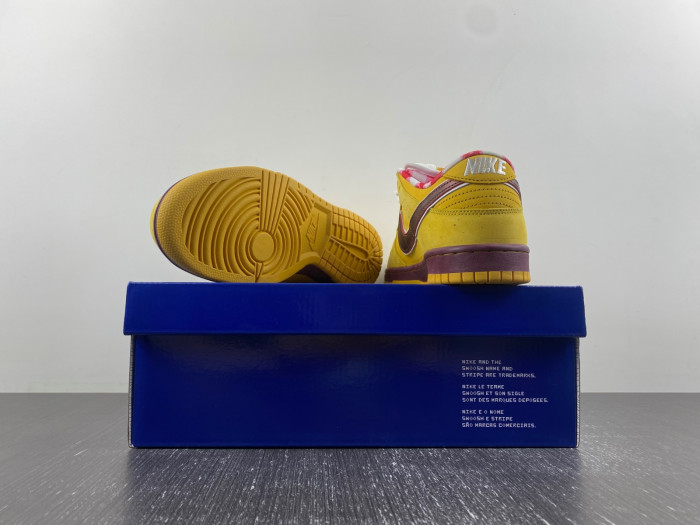 NIKE Dunk Low Premium SB 