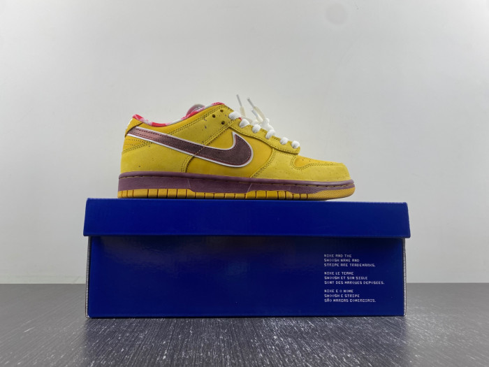 NIKE Dunk Low Premium SB 