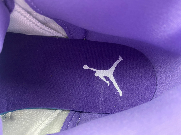 Nike Air Jordan 12 CT8013-150