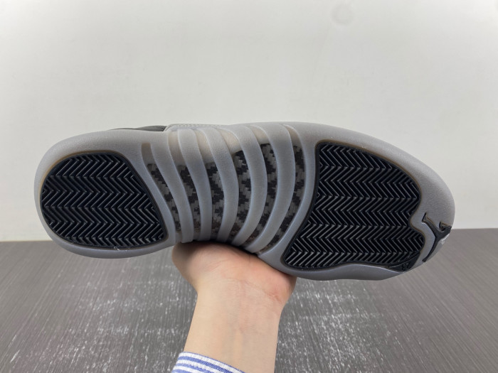 Air Jordan 12 RETRO CT8013-019