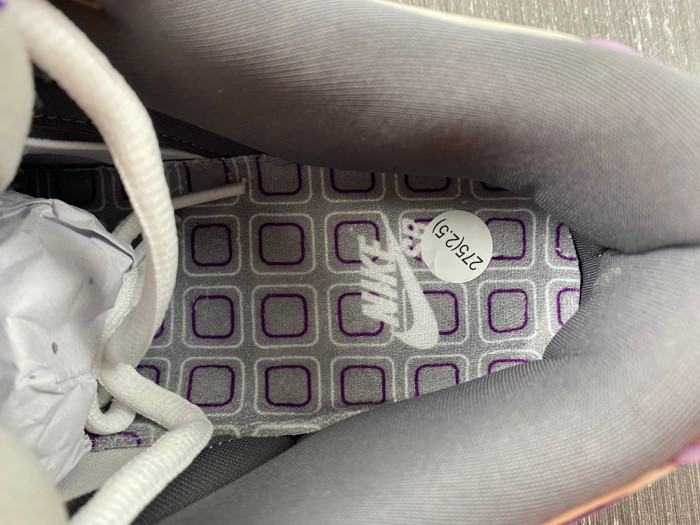 Nike Dunk SB Low Purple Pigeon 304292-051