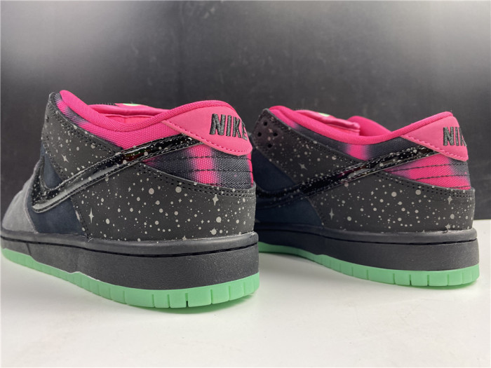 nike dunk sb low premier "N0*Hern lights" 724183-063