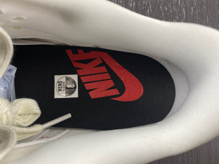 Nike Dunk Low  Disrupt 2 DV1491-101