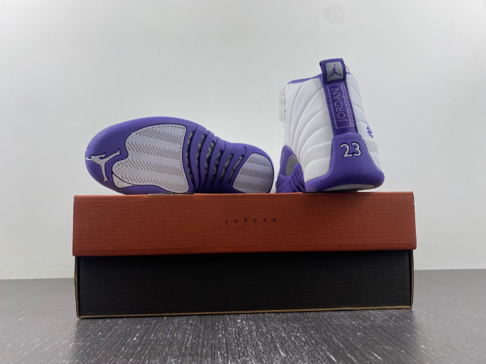 Nike Air Jordan 12 CT8013-150