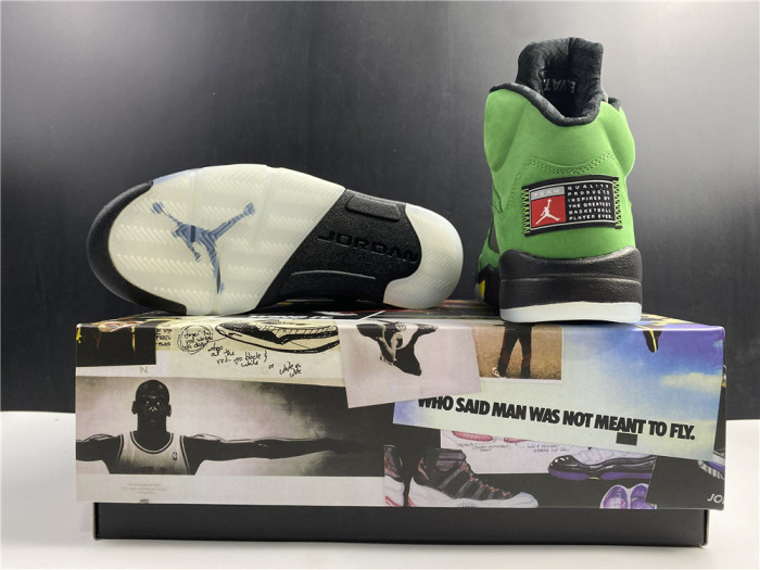Jordan 5 Retro SE Oregon CK6631-307
