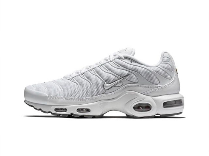 Nike Air Max Plus White 604133-139