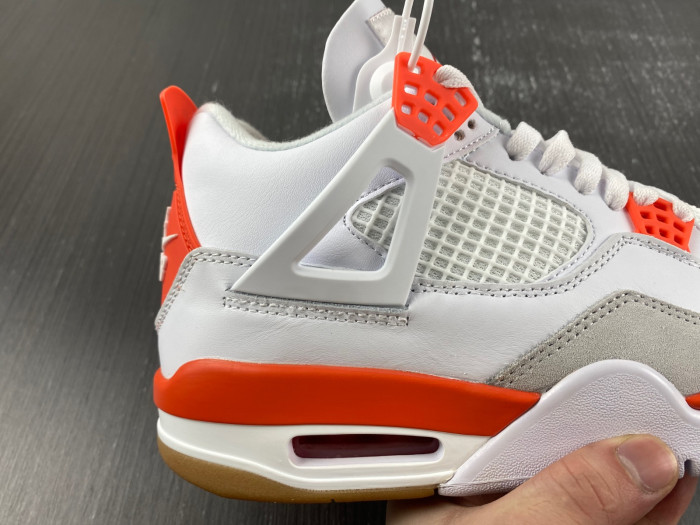 NIKE SB X AIR JORDAN 4 DR5415-108