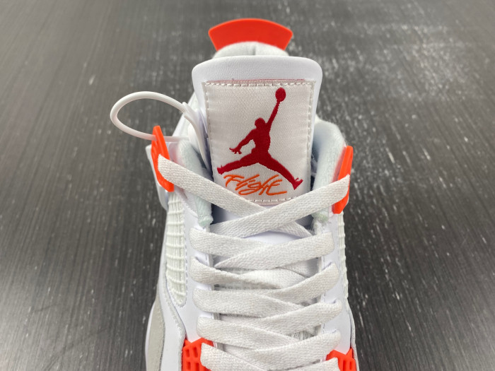 NIKE SB X AIR JORDAN 4 DR5415-108