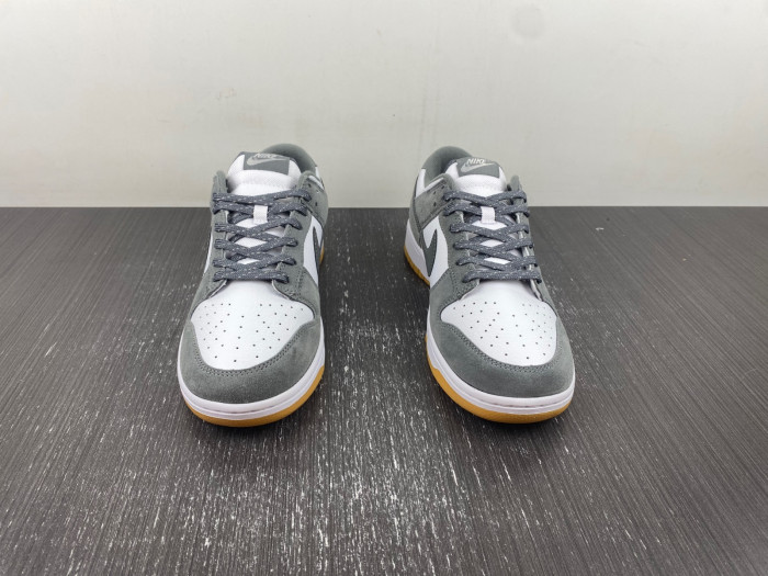 NIKE DUNK LOW FV0389-100