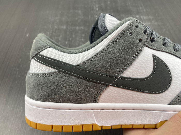 NIKE DUNK LOW FV0389-100