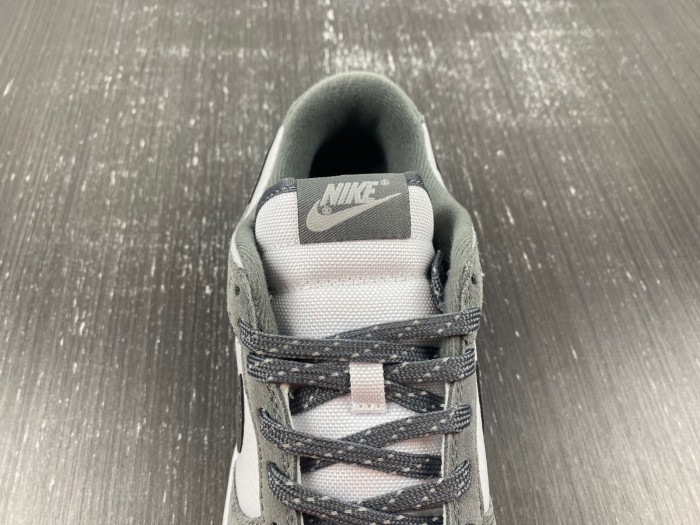 NIKE DUNK LOW FV0389-100