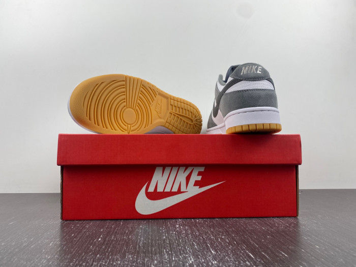 NIKE DUNK LOW FV0389-100