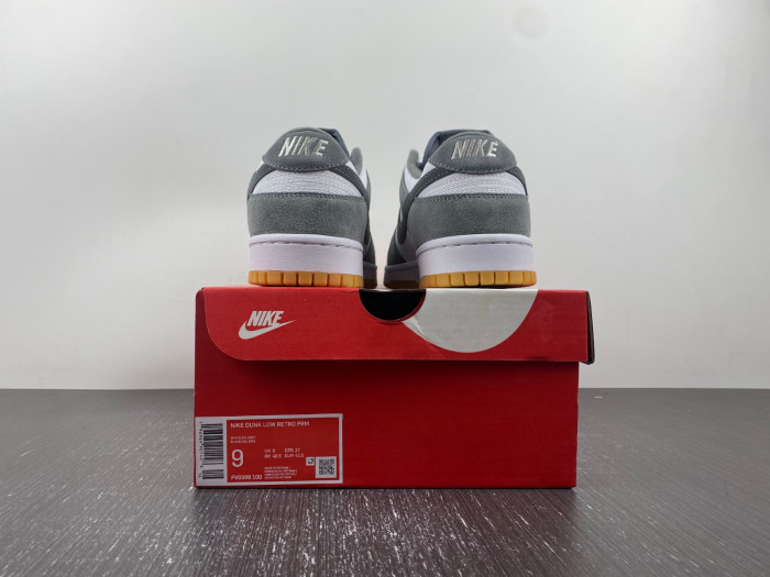 NIKE DUNK LOW FV0389-100