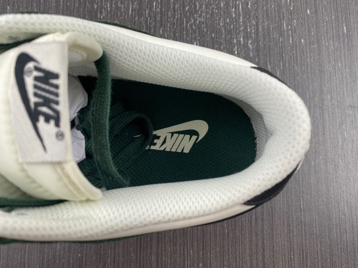NIKE DUNK LOW PRO FQ8893-397
