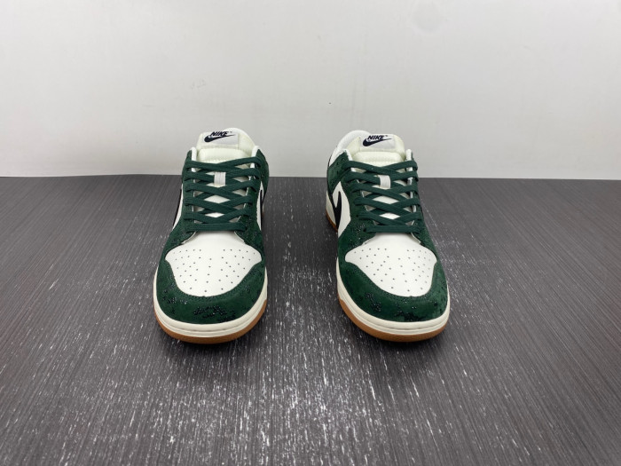 NIKE DUNK LOW PRO FQ8893-397