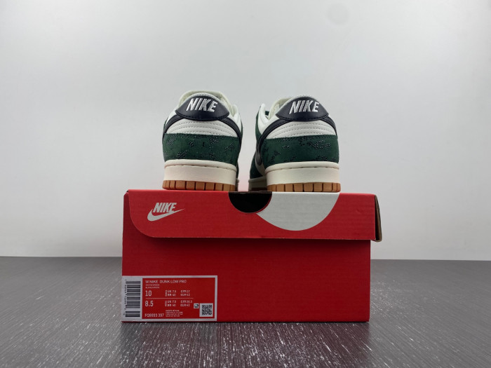 NIKE DUNK LOW PRO FQ8893-397