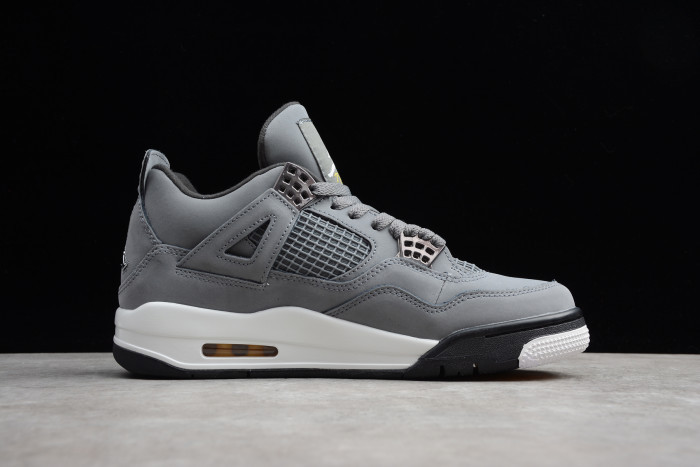 Jordan 4 Retro Cool Grey (2019) 308497-007