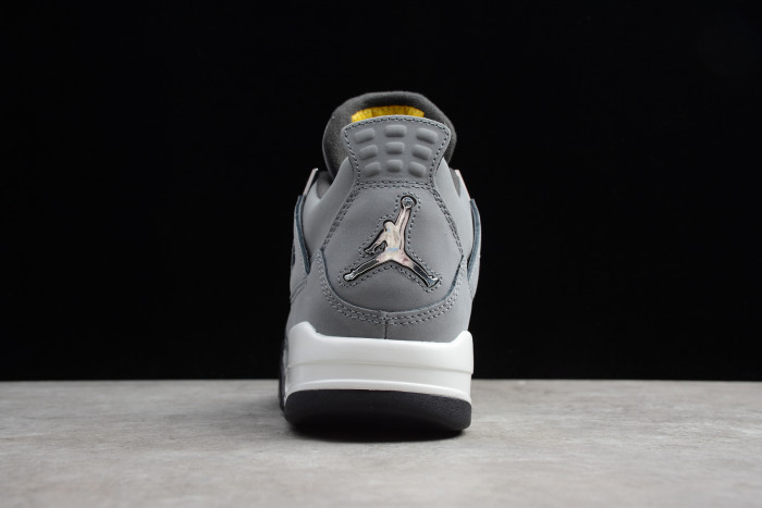 Jordan 4 Retro Cool Grey (2019) 308497-007