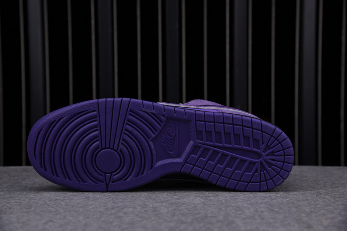 Nike SB Dunk Low Concepts Purple Lobster BV1310-555