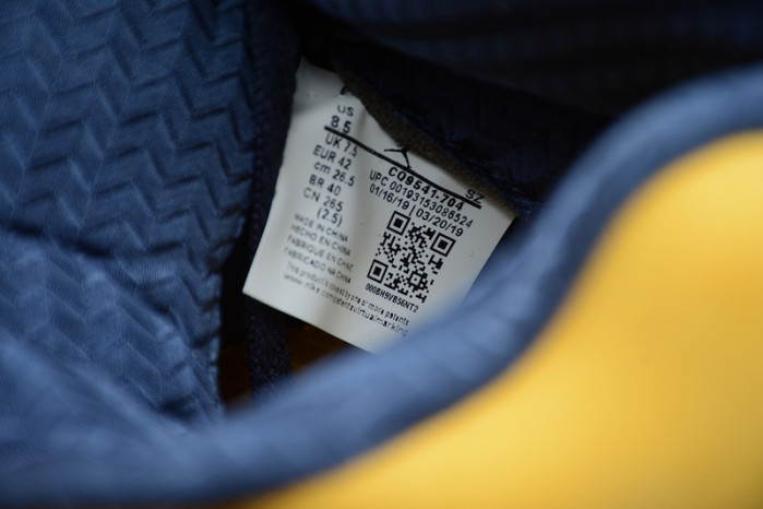 Jordan 5 Retro Michigan (2019) CQ9541-704