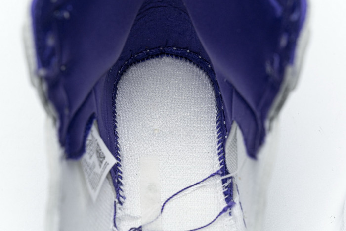 Jordan 1 Retro High Court Purple (W) CD0461-151